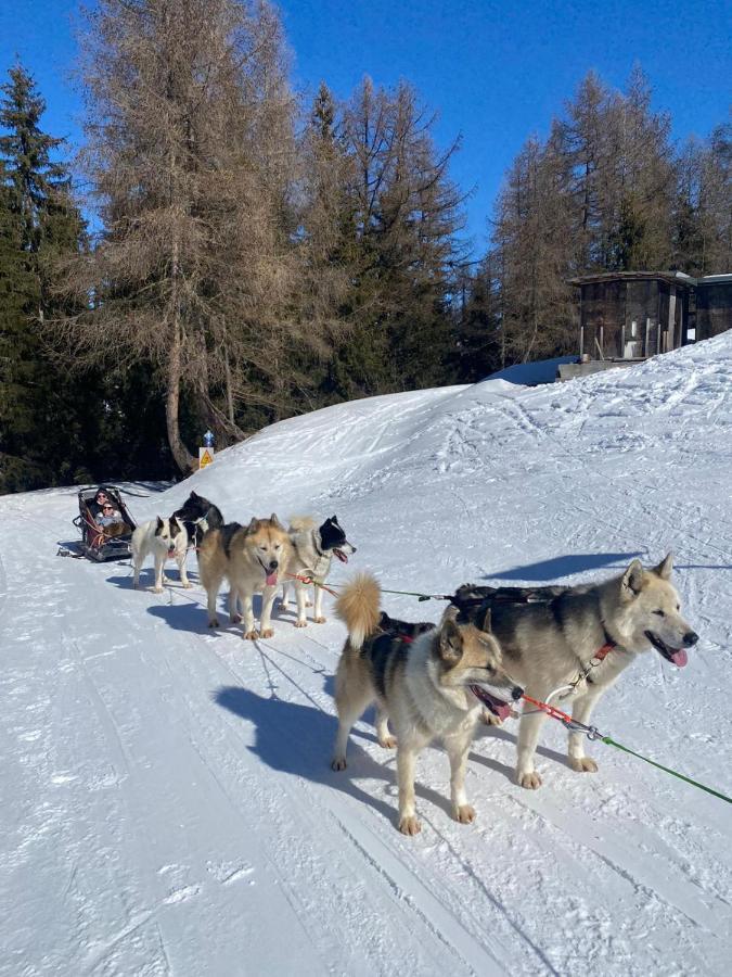拉普拉涅Plagne Bellecote - 5 Pers - Vue Pistes - Acces Piscine Chauffee公寓 外观 照片